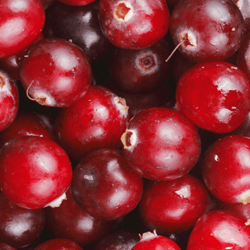 Cranberries HoReCa ТМ «Rud»